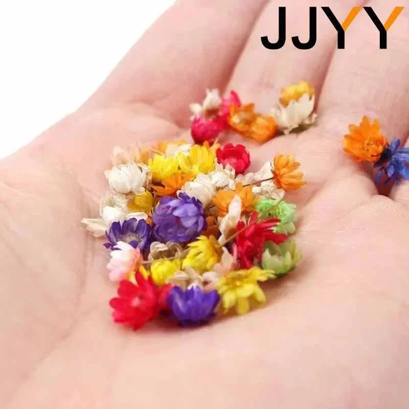 100 Pcs Mini Dried Flowers Epoxy Candle Making Jewelry kit