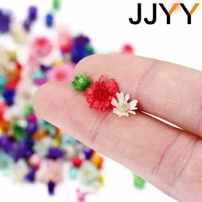 100 Pcs Mini Dried Flowers Epoxy Candle Making Jewelry kit