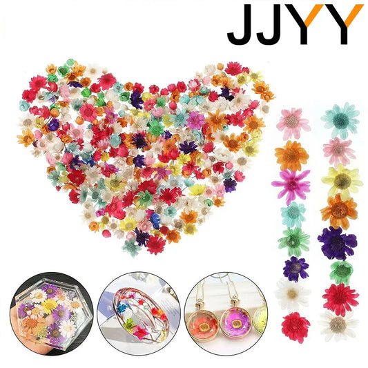 100 Pcs Mini Dried Flowers Epoxy Candle Making Jewelry kit